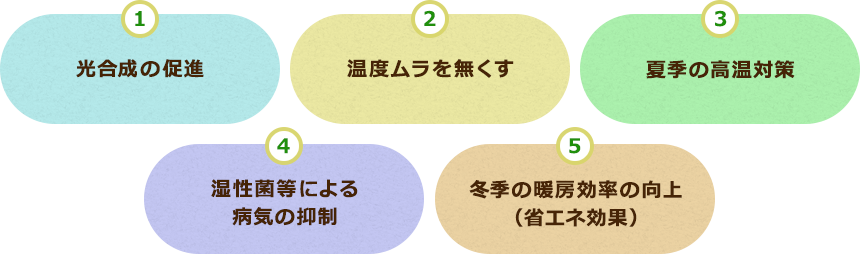 ①光合成の促進②温度ムラを無くす③夏季の高温対策④湿性菌等による病気の抑制⑤冬季の暖房効率の向上（省エネ効果）