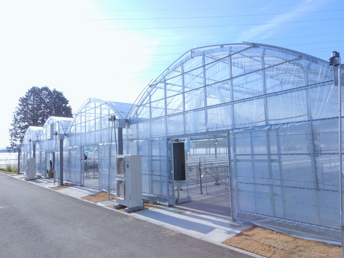 さくら農園様　vol.2