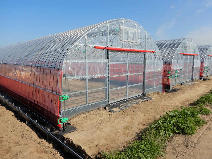 久留米市　葉物野菜ハウス