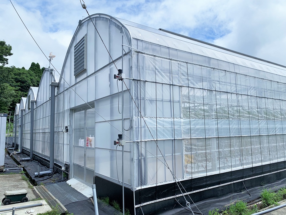 熊本県阿蘇郡　トマトハウス