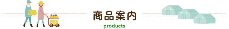 商品案内 products